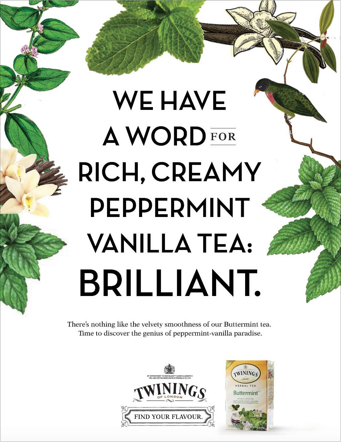 Screen Shot 2018-01-22 at 11.14.08 AM.png