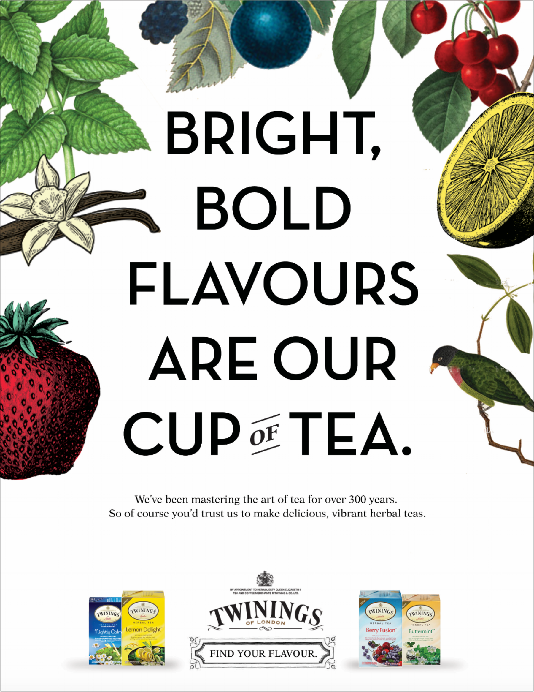 Screen Shot 2018-01-22 at 11.13.45 AM.png