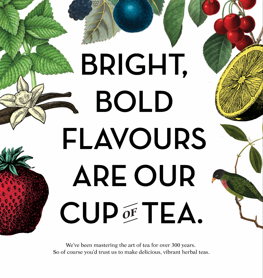 Screen Shot 2018-01-22 at 11.13.45 AM.png