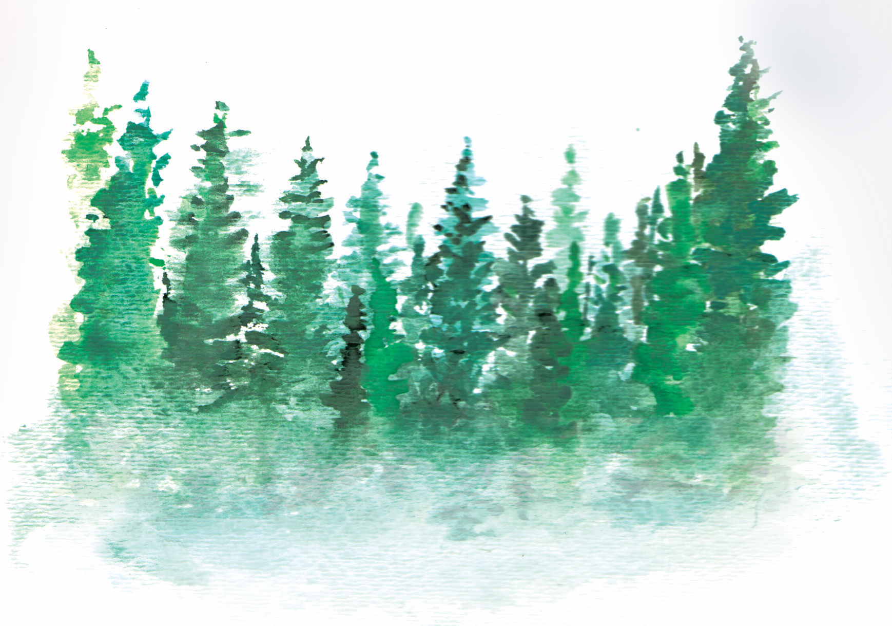 Screen Shot 2018-02-11 at 11.47.50 AM.png