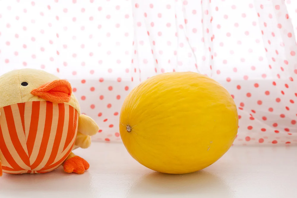Canary_melon-008.jpg