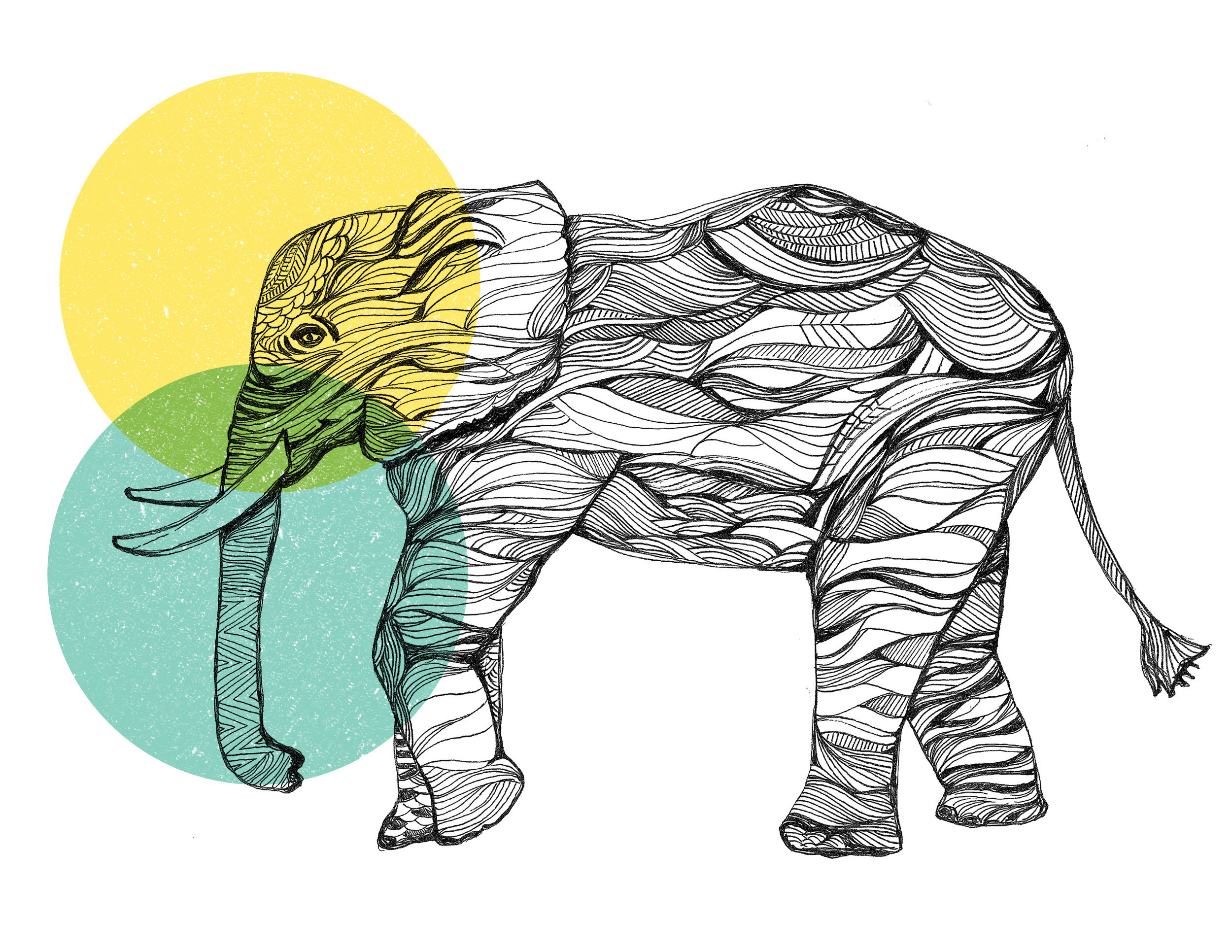 Elephant_2.jpg