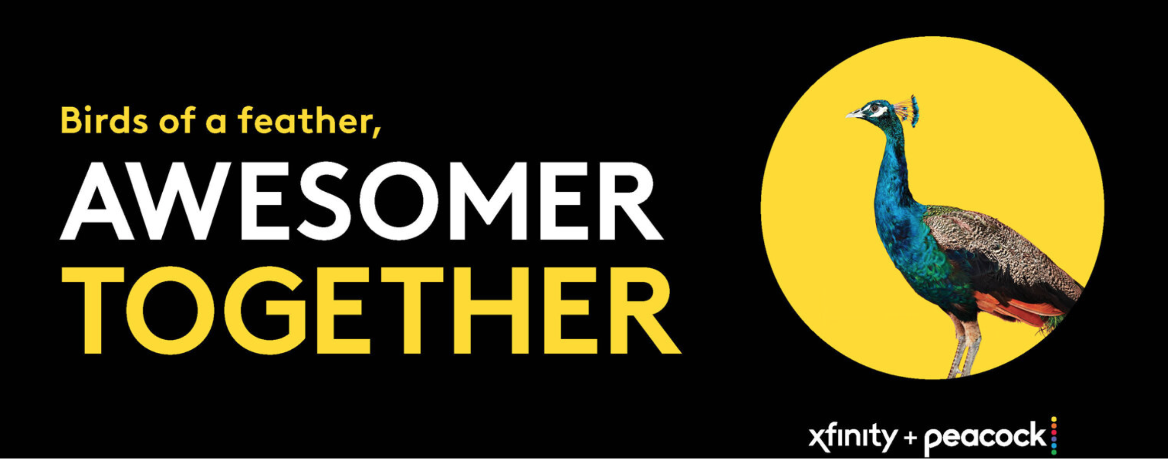 Screen Shot 2021-02-18 at 2.43.18 PM.png