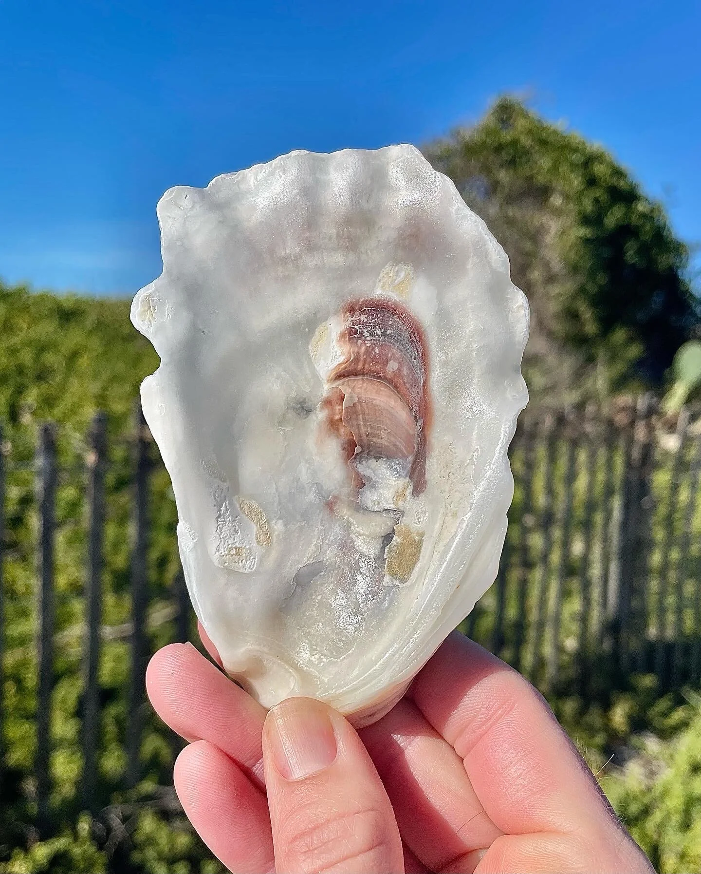 8BABF4D5-E031-454C-8F4B-AD2134DE8CE5