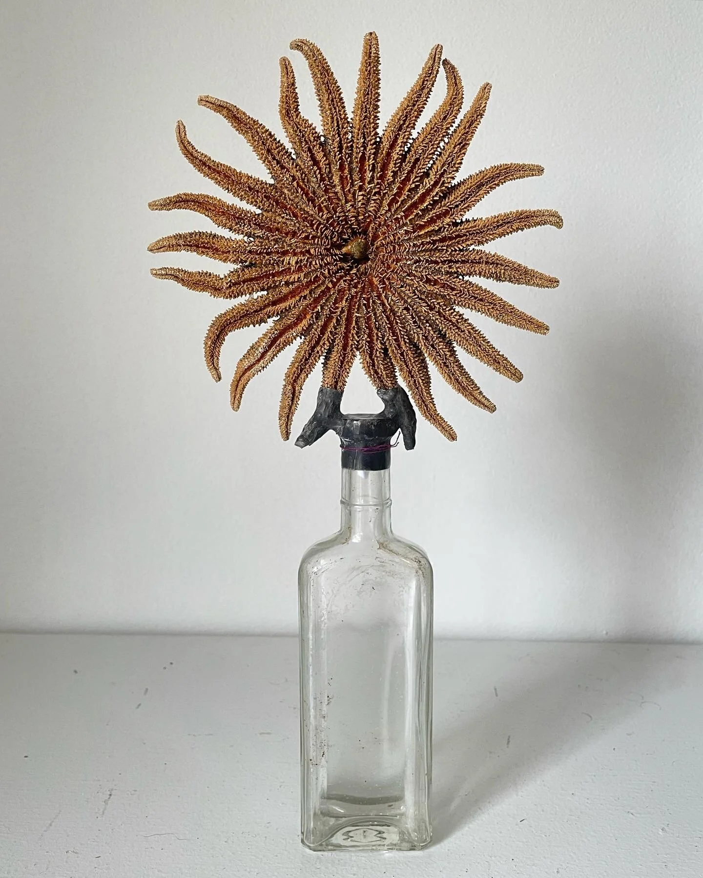 C67CEE2A-680C-4BEA-B0C4-1489D2573DC5