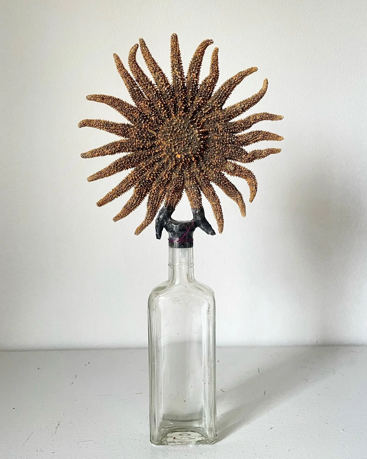 E9719D38-8924-4EFA-97AE-DFFB6122FD05