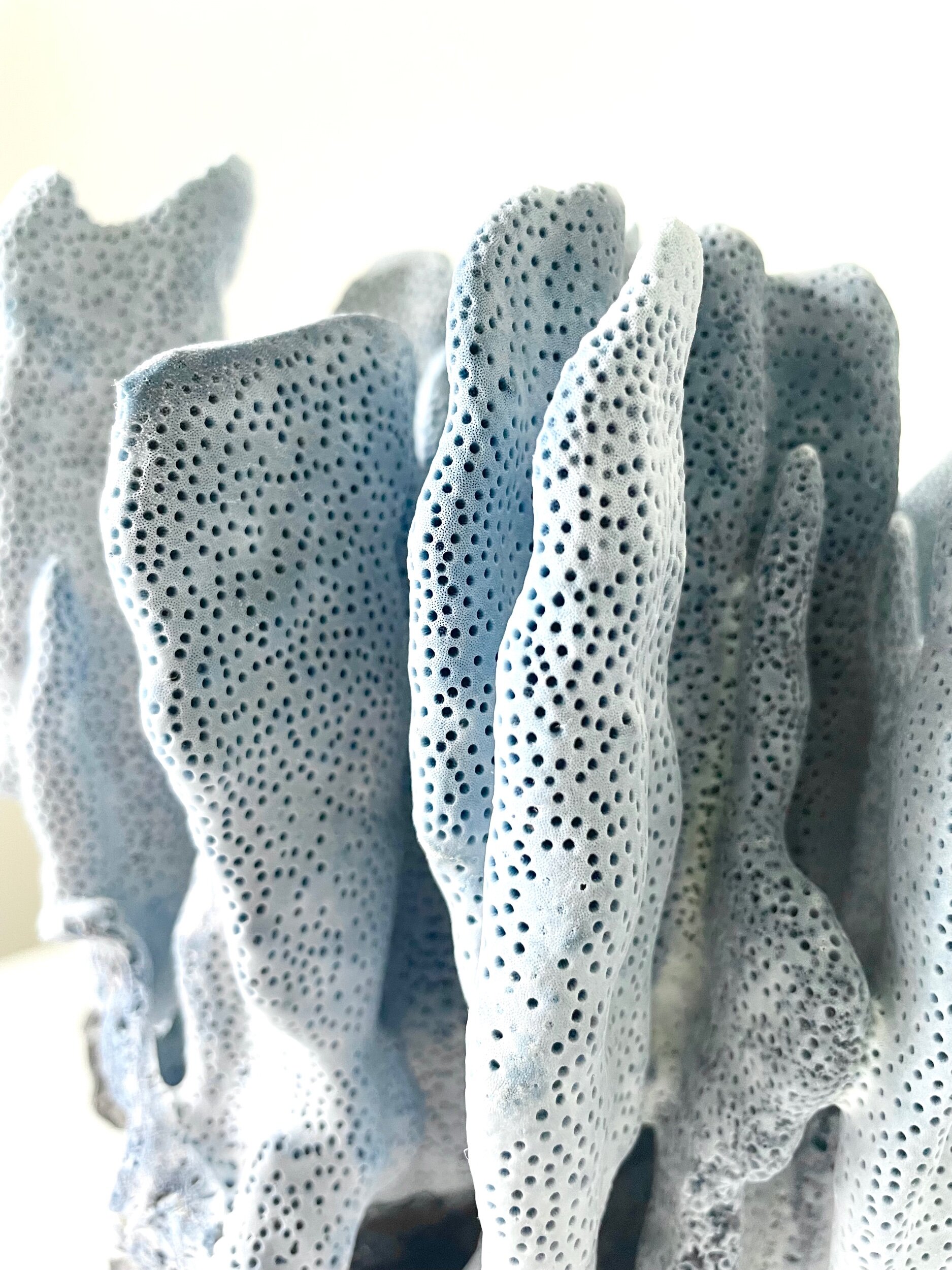 C6A3505A-7150-42E8-87DA-DB46F1D8F38C