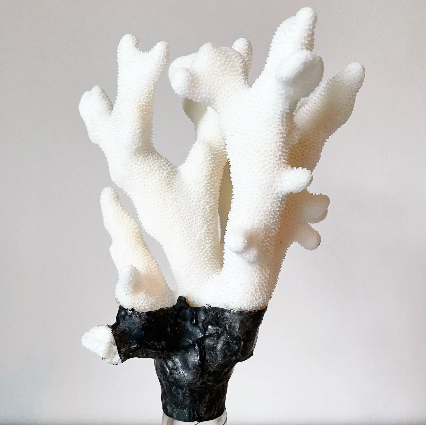 11EFBFBC-E698-483E-9298-020CDBA55B0D