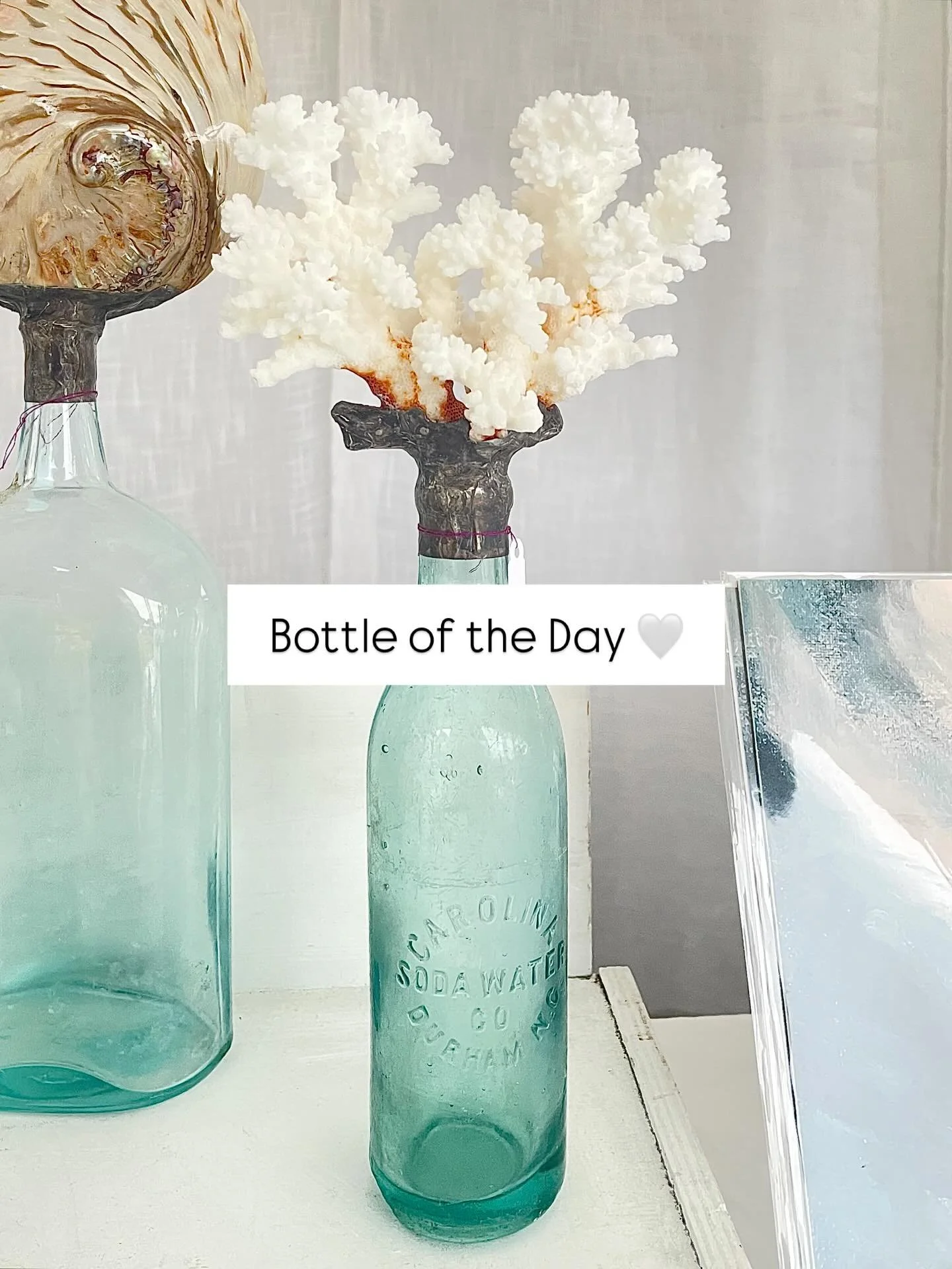 Bottle of the Day! Doesn&rsquo;t get better than a local NC piece&hellip;. 

Carolina Soda Water, Durham NC with Brownstem Coral. $234

Come see her at the WB Market today! Grab a coffee and start your Fall with some local goodness 🙏

#nc #localhist