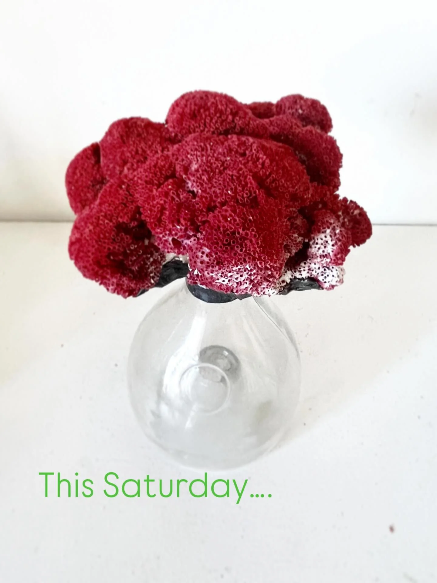 This Saturday I&rsquo;ll be set up with new work for the holidays at @airliemoon 🩵
This is traditionally my last show of the year and I love to wrap up the season with such a wonderful group of people&hellip; Come shop all the beauty Airlie Moon has