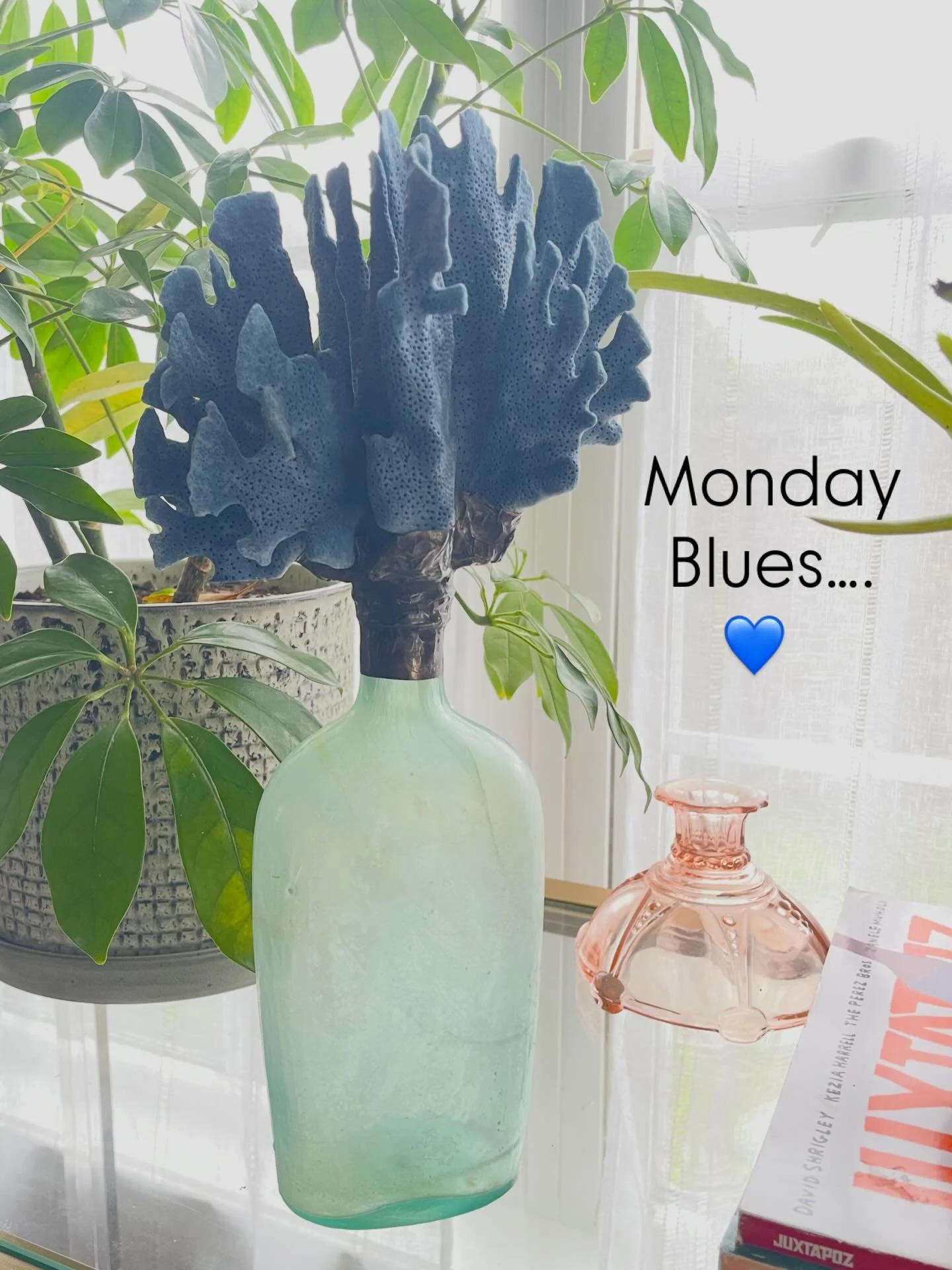 Fresh New Blues for this rainy Monday&hellip; and for those of you who&rsquo;ve been waiting for a Blue Ridge Coral firefly catcher&hellip; Here she is ✨

Blue Ridge Coral on Antique FireFly Catcher 
$295. 11.75&rdquo;h

Blue Ridge Coral on Antique F