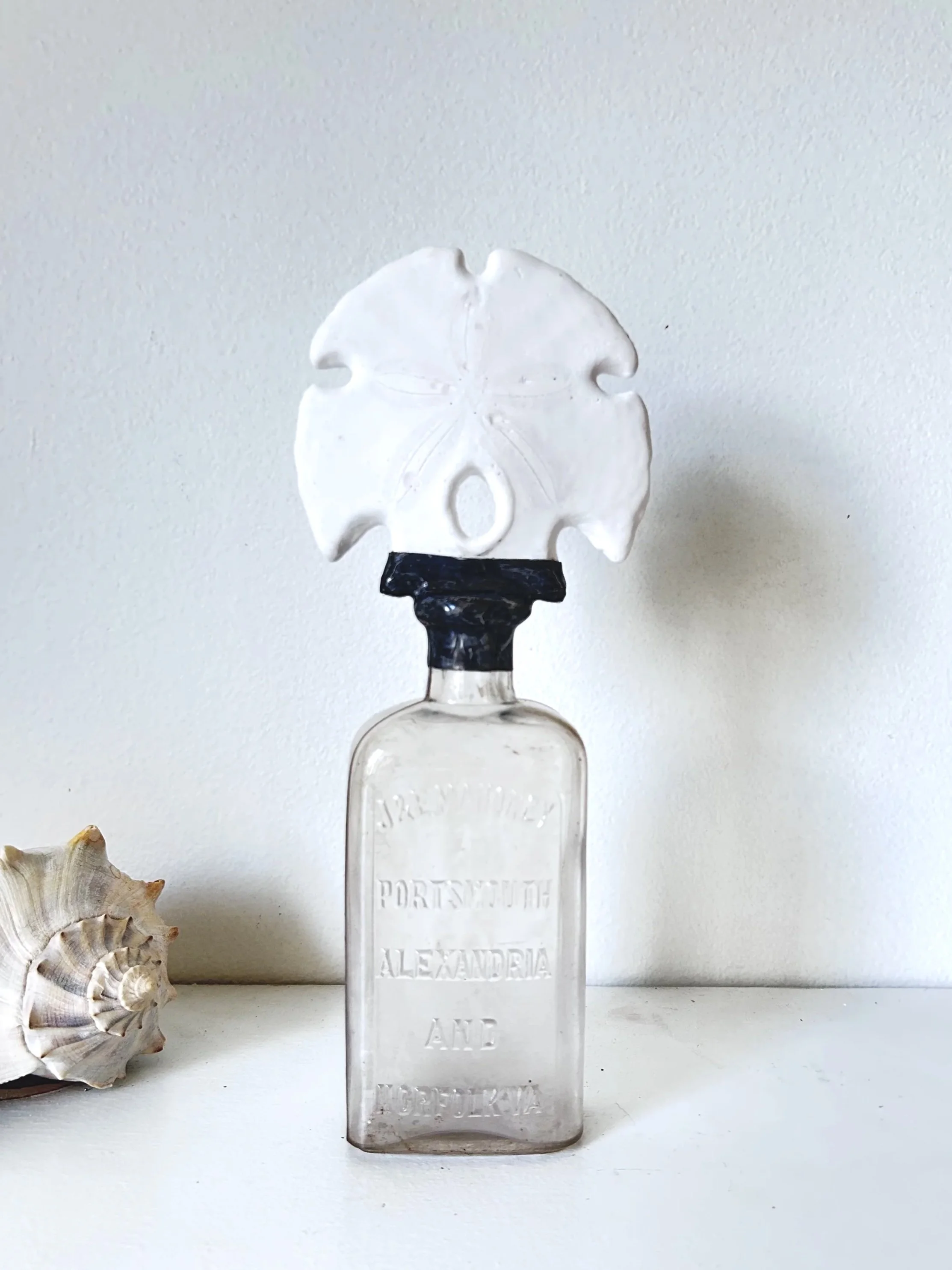 Arrowhead Sand Dollar on Antique Glass