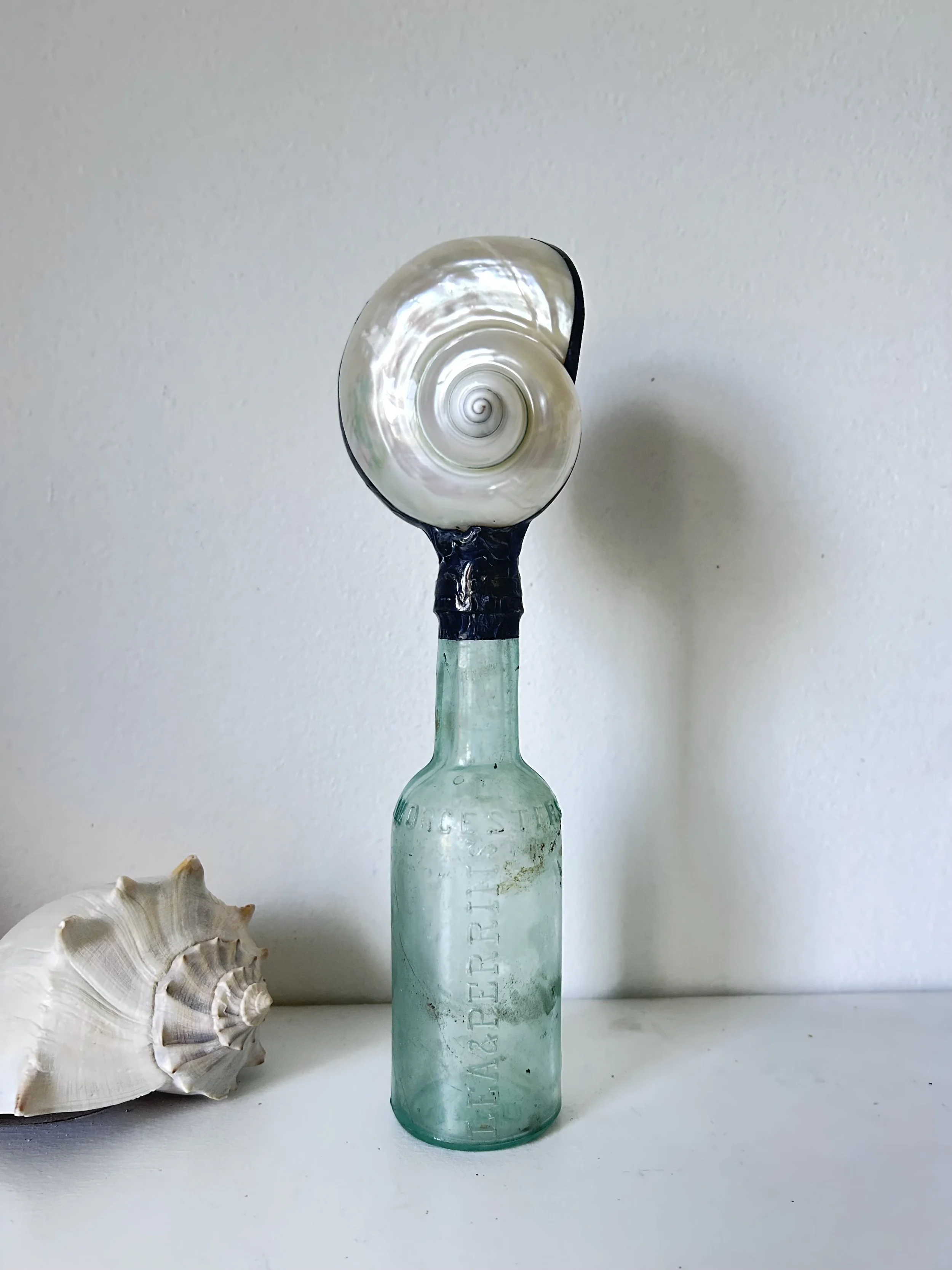Pearled Turbo on Antique Glass