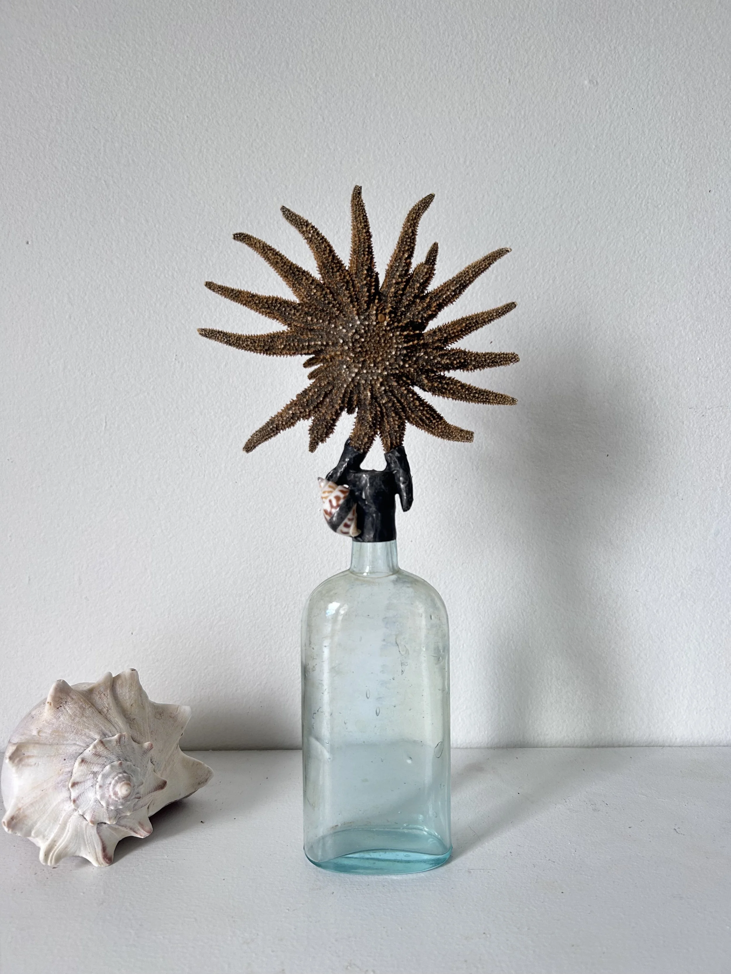 SunStar w/ Sea Snail on Antique Flask
