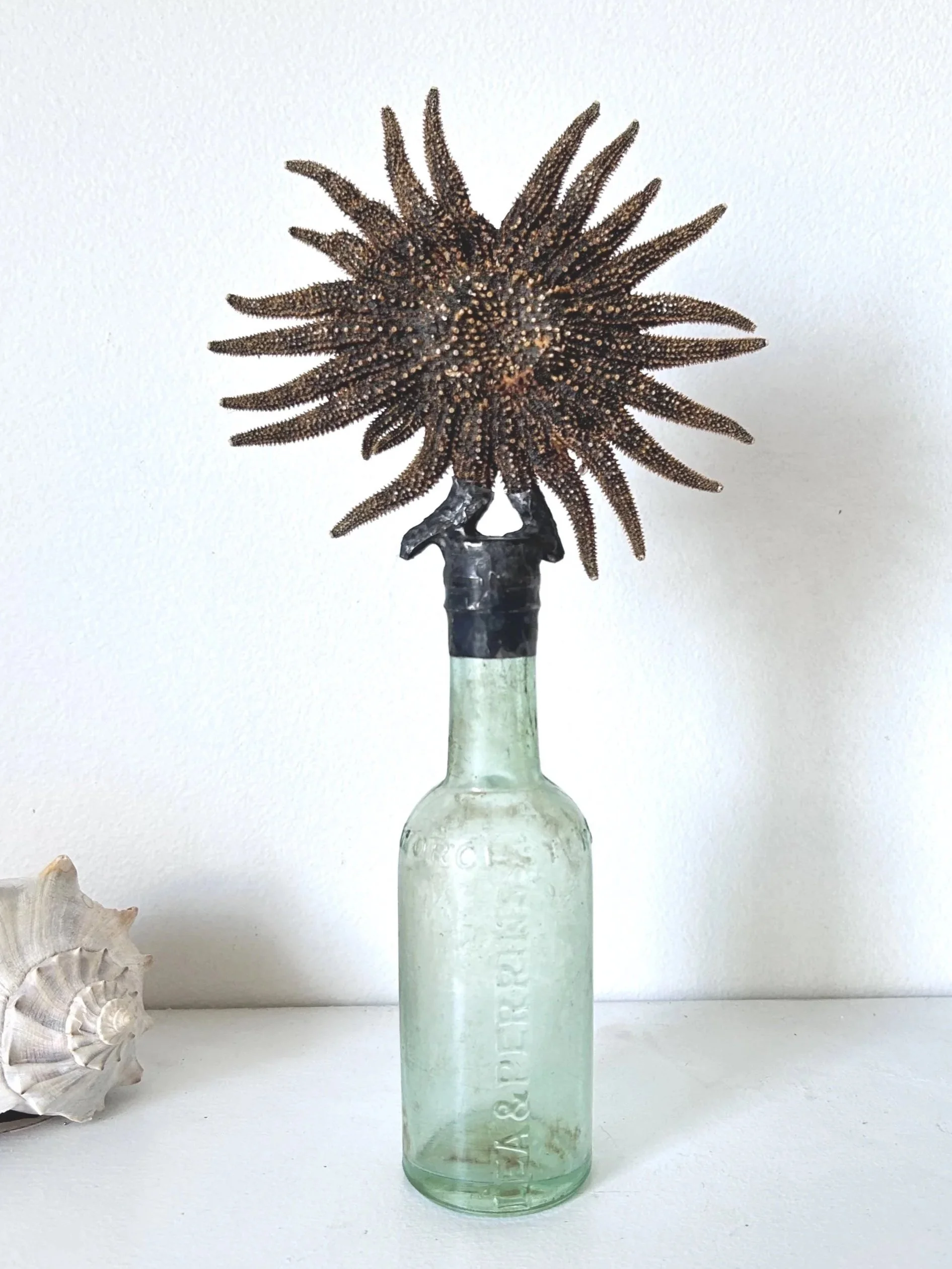 SunStar on Antique Glass