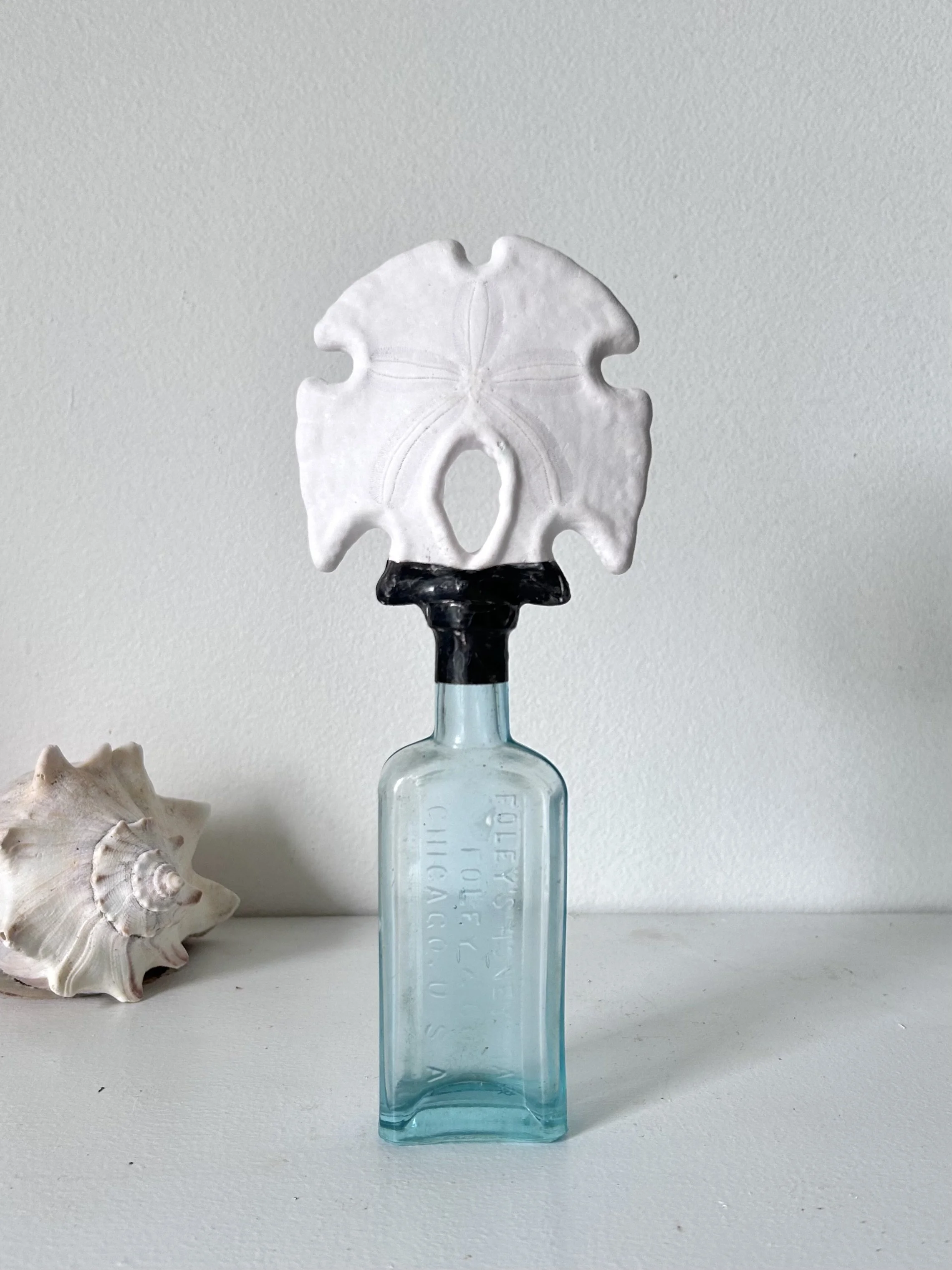 Arrowhead Sand Dollar on Antique Glass