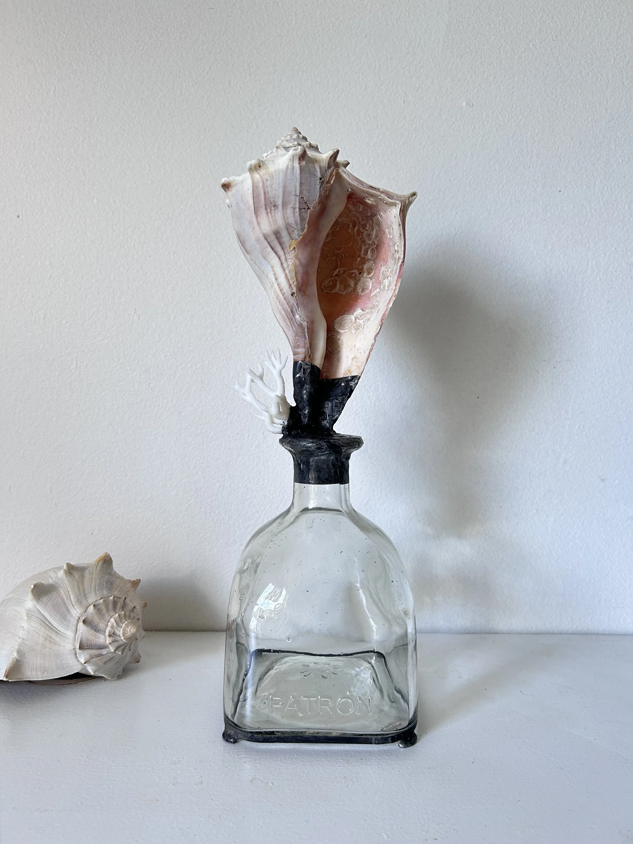 Local Whelk and Coral on Footed Glass