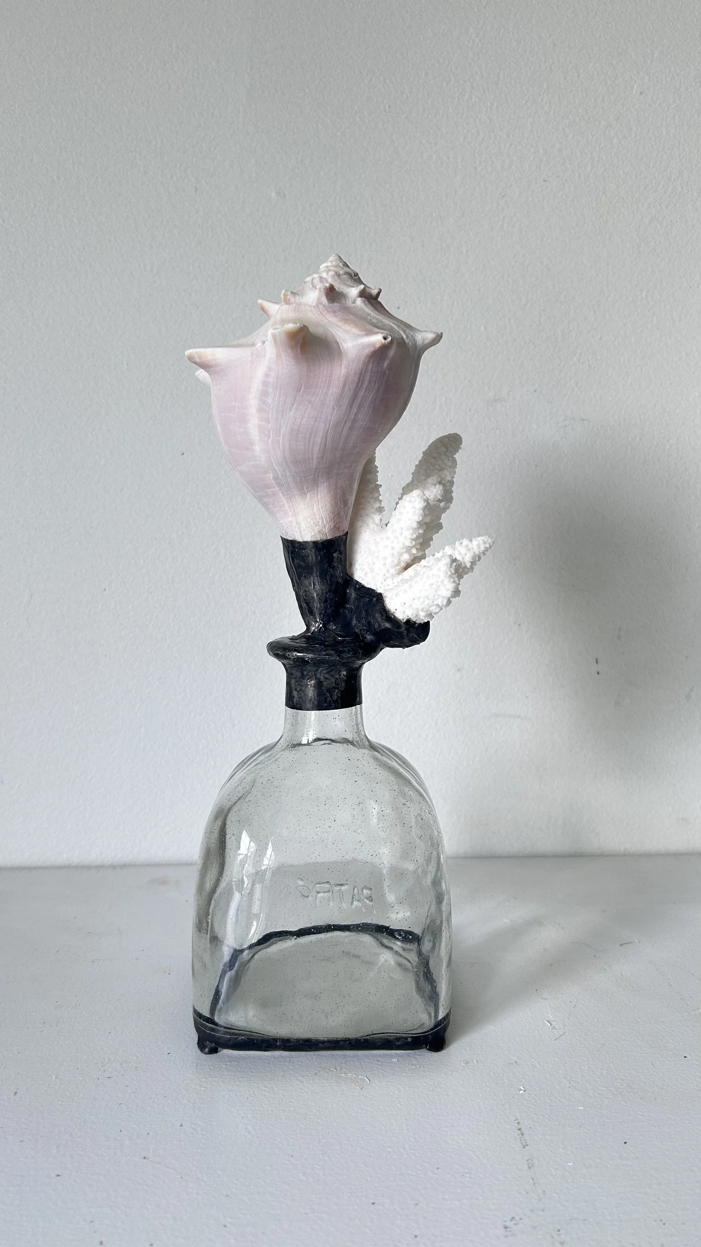 Local Whelk + Branch Coral on Footed Glass