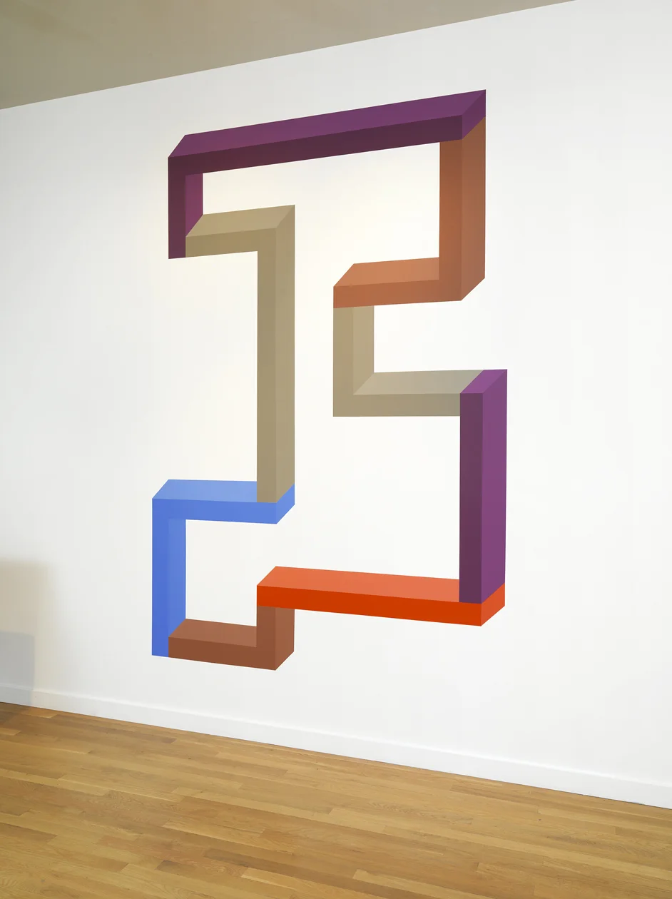 Entrapment, Michele Mercaldo Gallery, Boston, 2016, 96" x 72', acrylic painted directly on wall