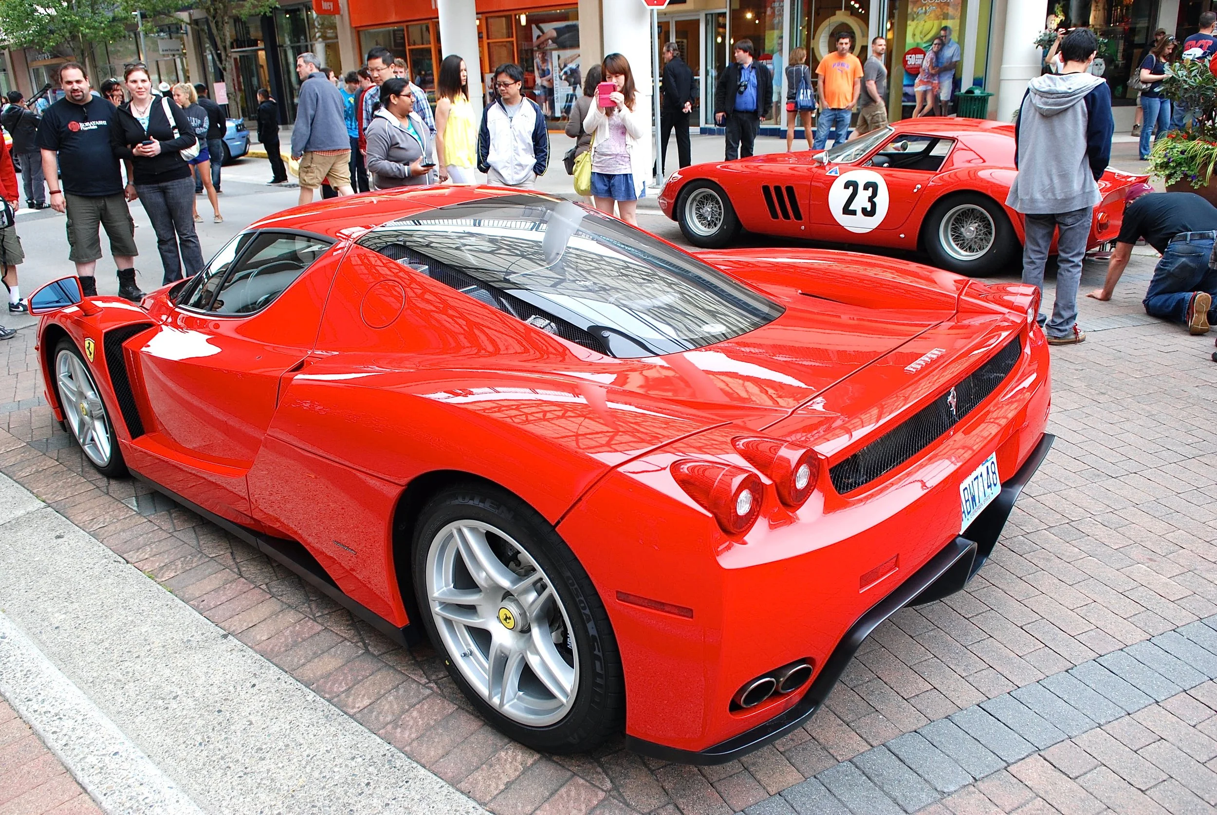 DSC_0065.jpg