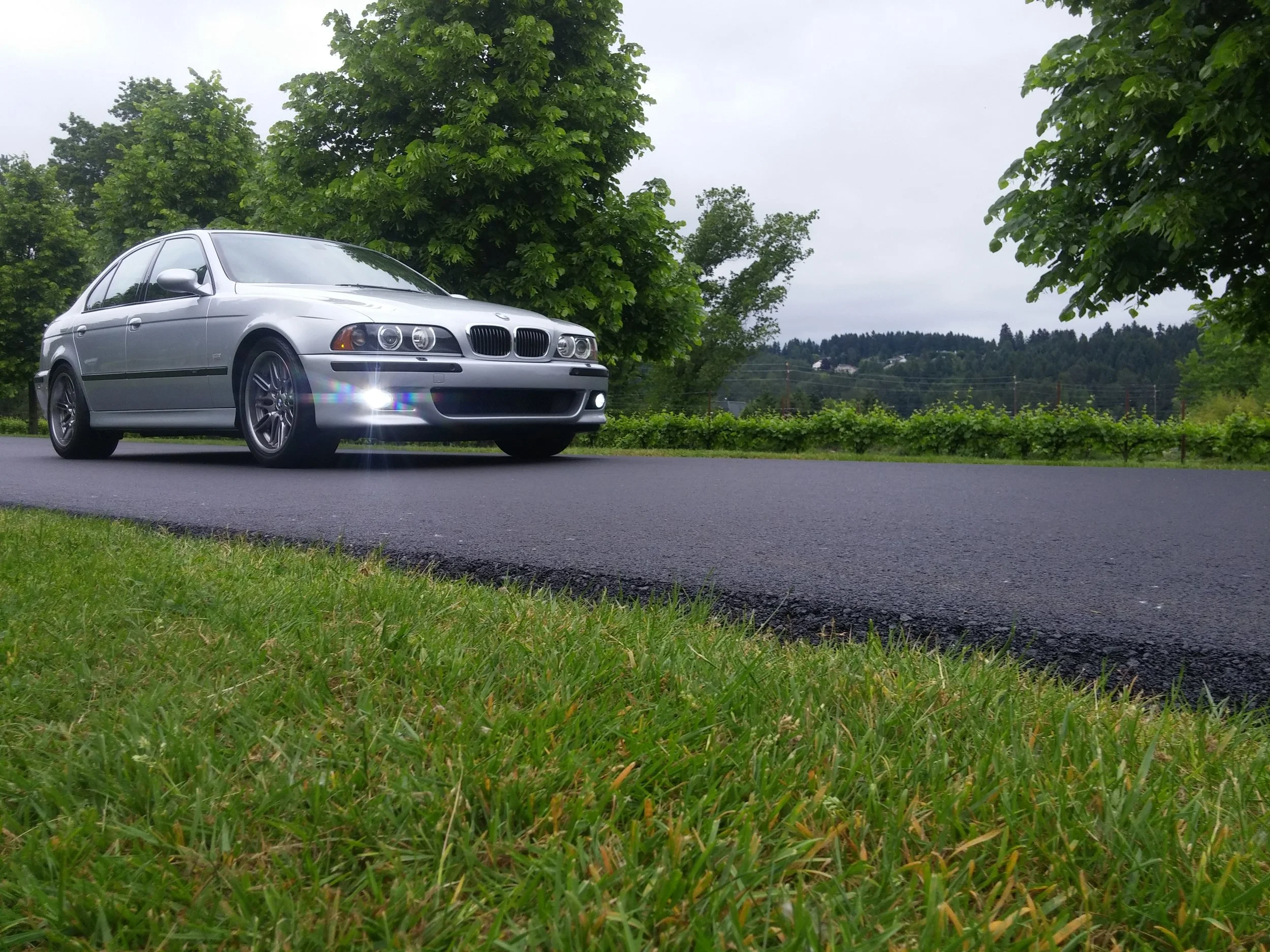 20150524_095128_Burst18.jpg