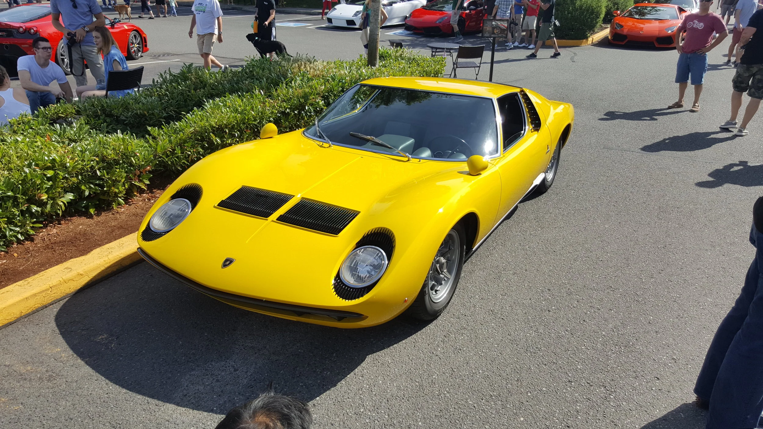 20160813_103504.jpg