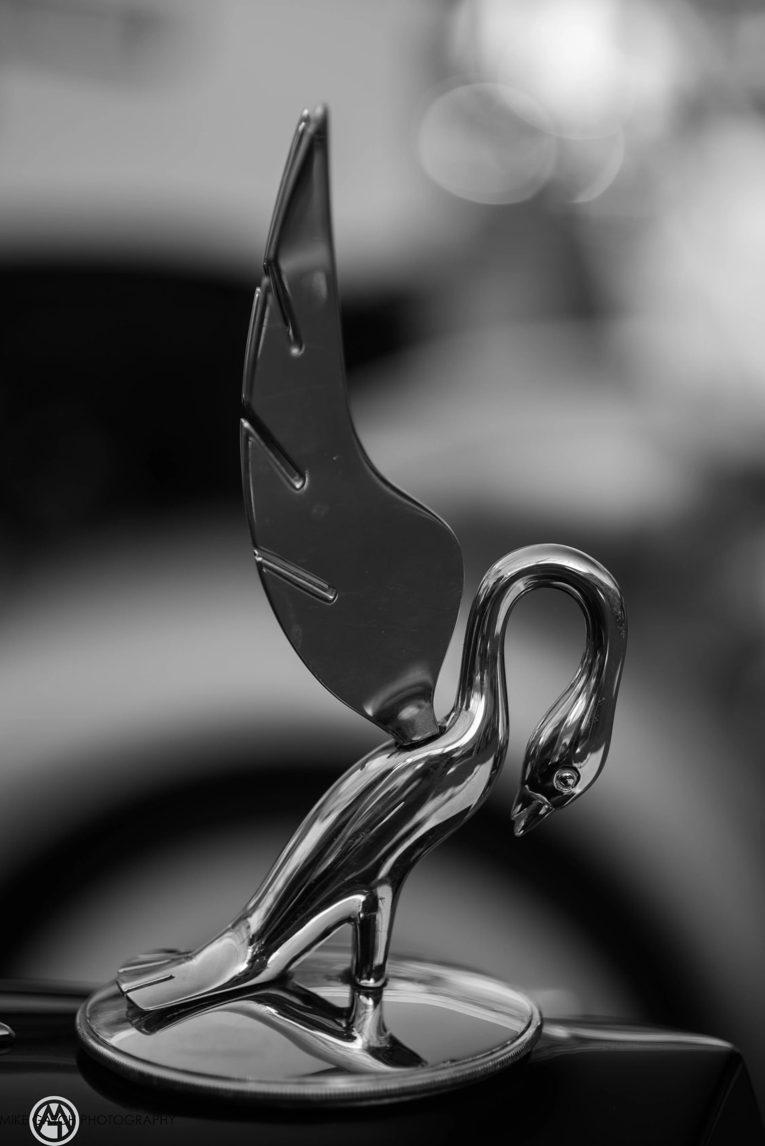 _IMG6640.jpg