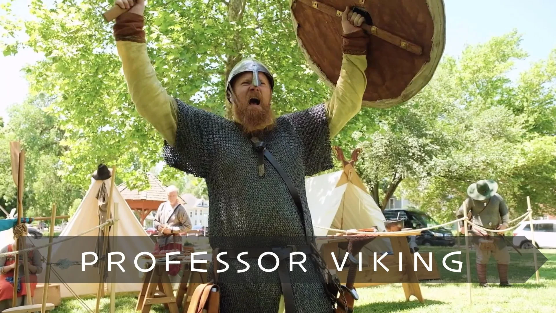 Professor Viking In Little Sweden