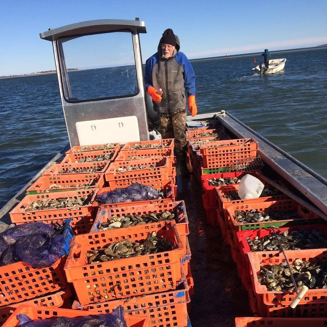Another busy winters day. Always ready to bring oysters to your table. #eatoysters #plymouth