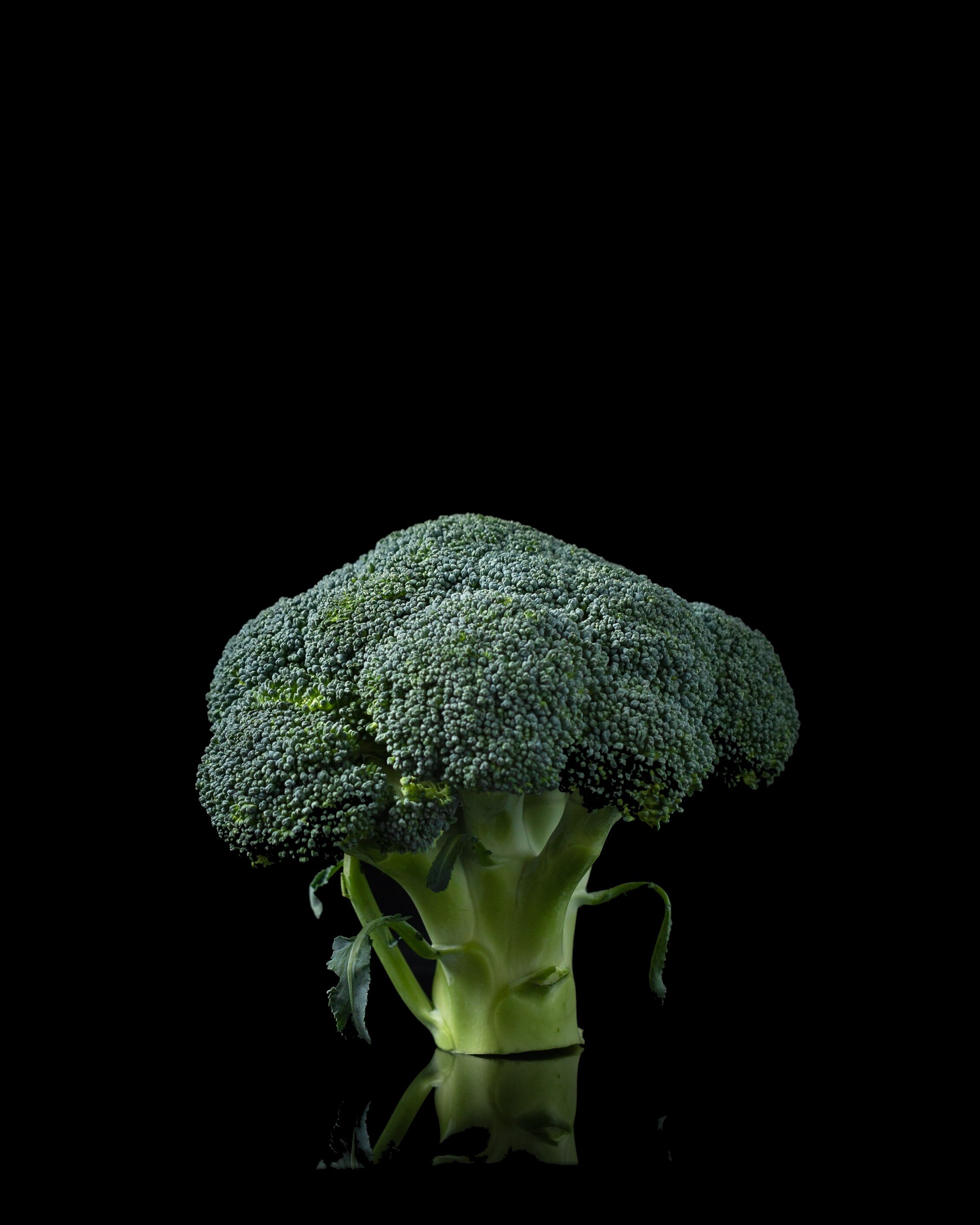 broccoli.jpg