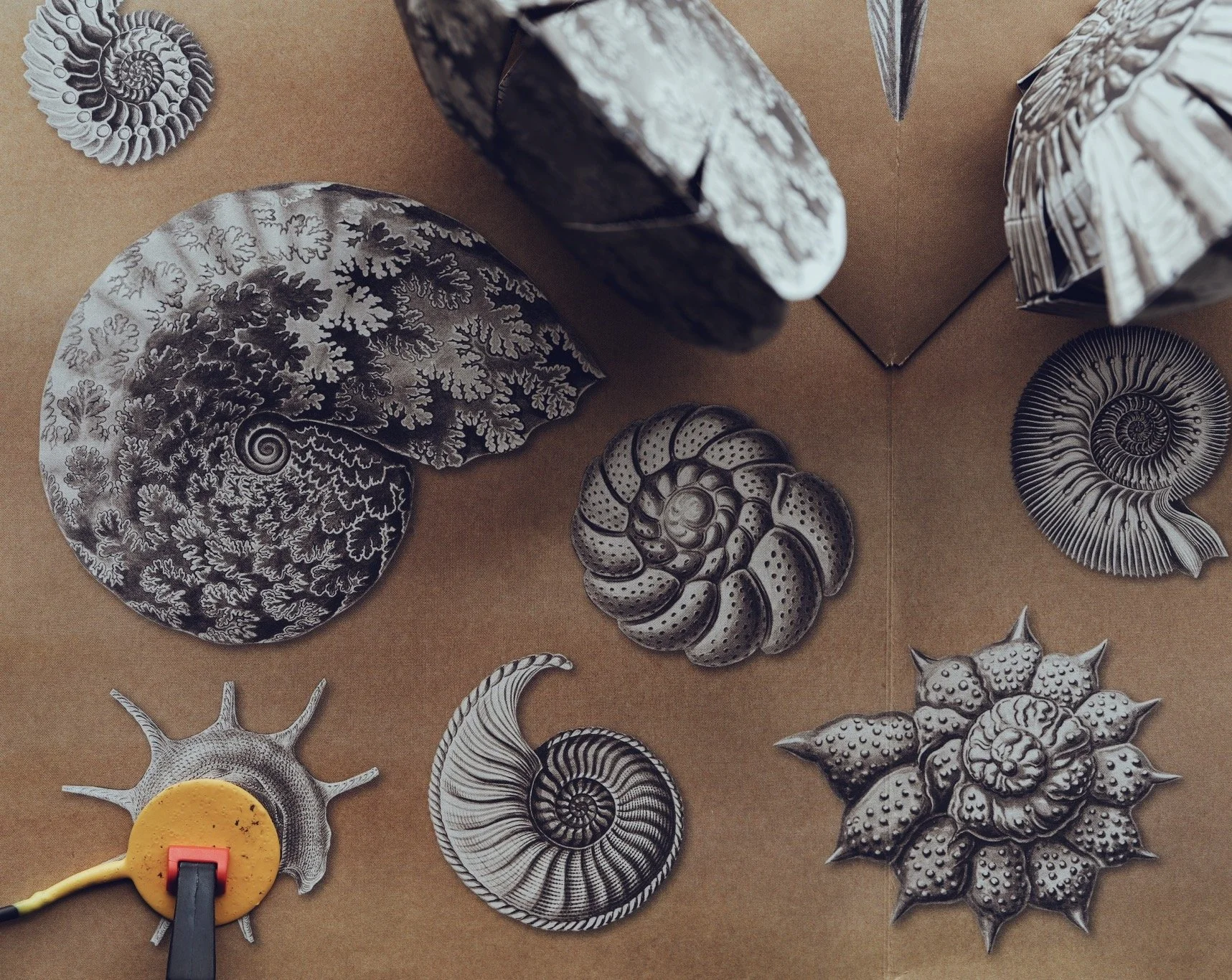 Pale Blue Dot Collective/ Sensational Books Exhibition