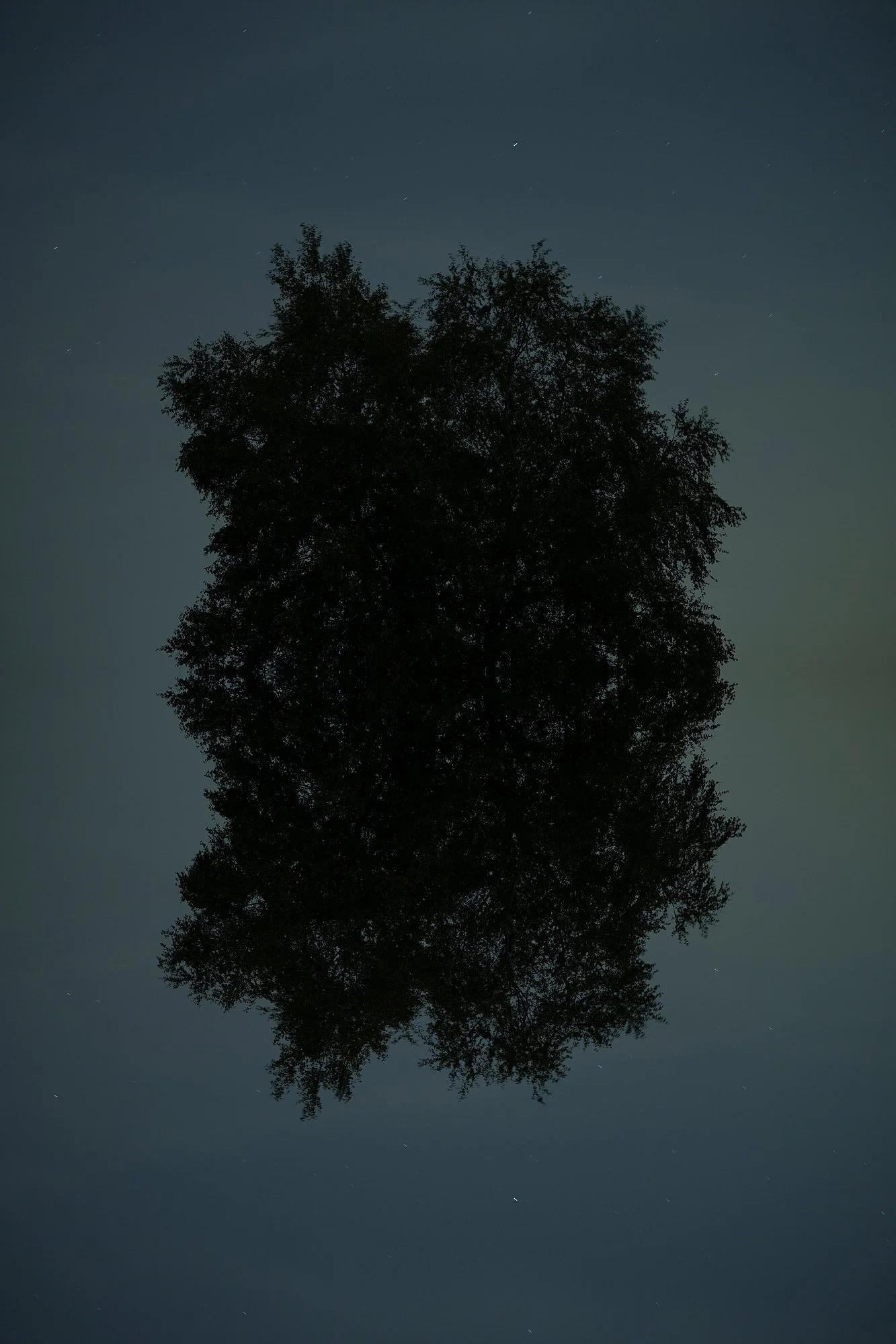 Talk/ Royal Society Aotearoa New Zealand