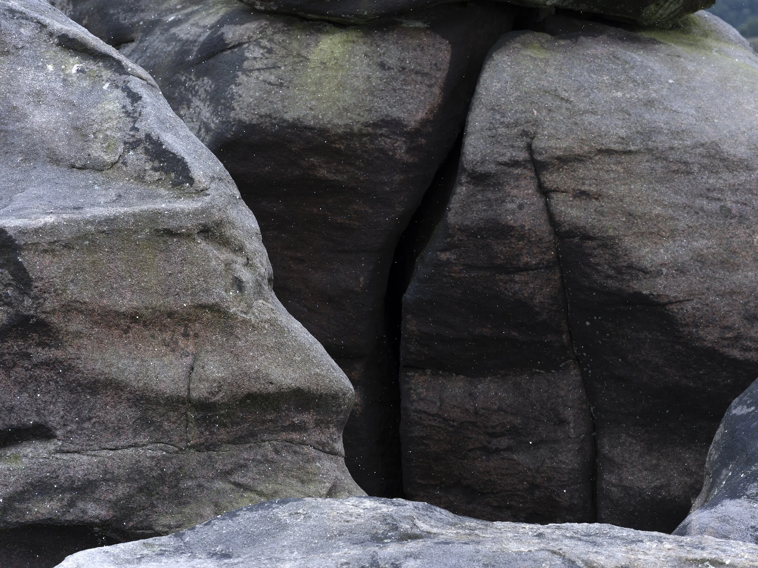  Earth, a Cosmic Spectacle/  Your existence was not inevitable  