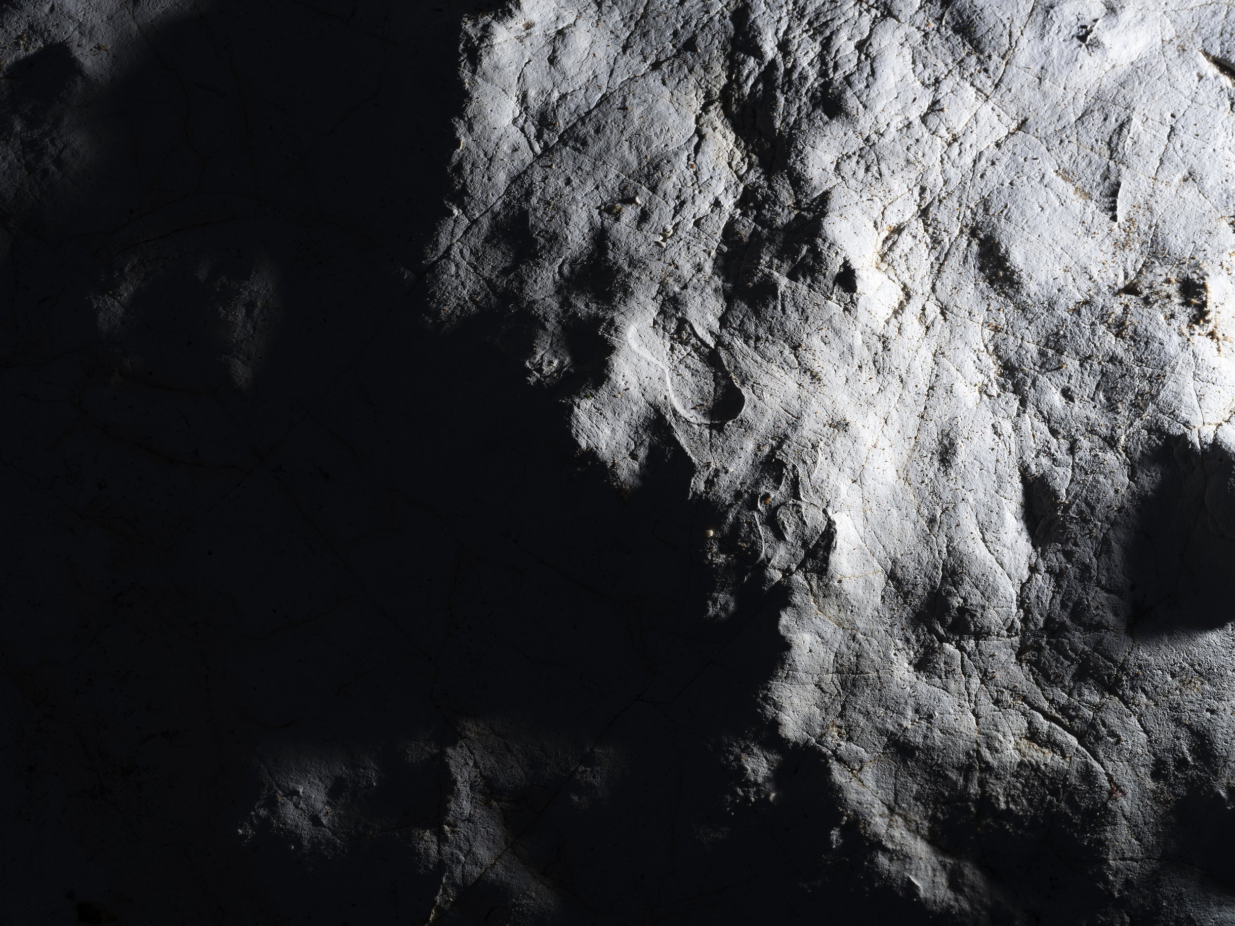  Earth, a Cosmic Spectacle/  You are everywhere  