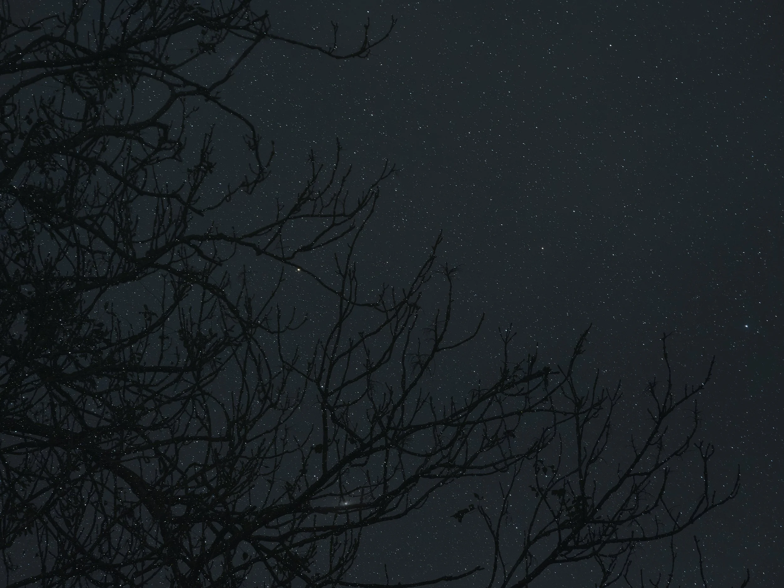  Earth, a Cosmic Spectacle/  A story so improbable  