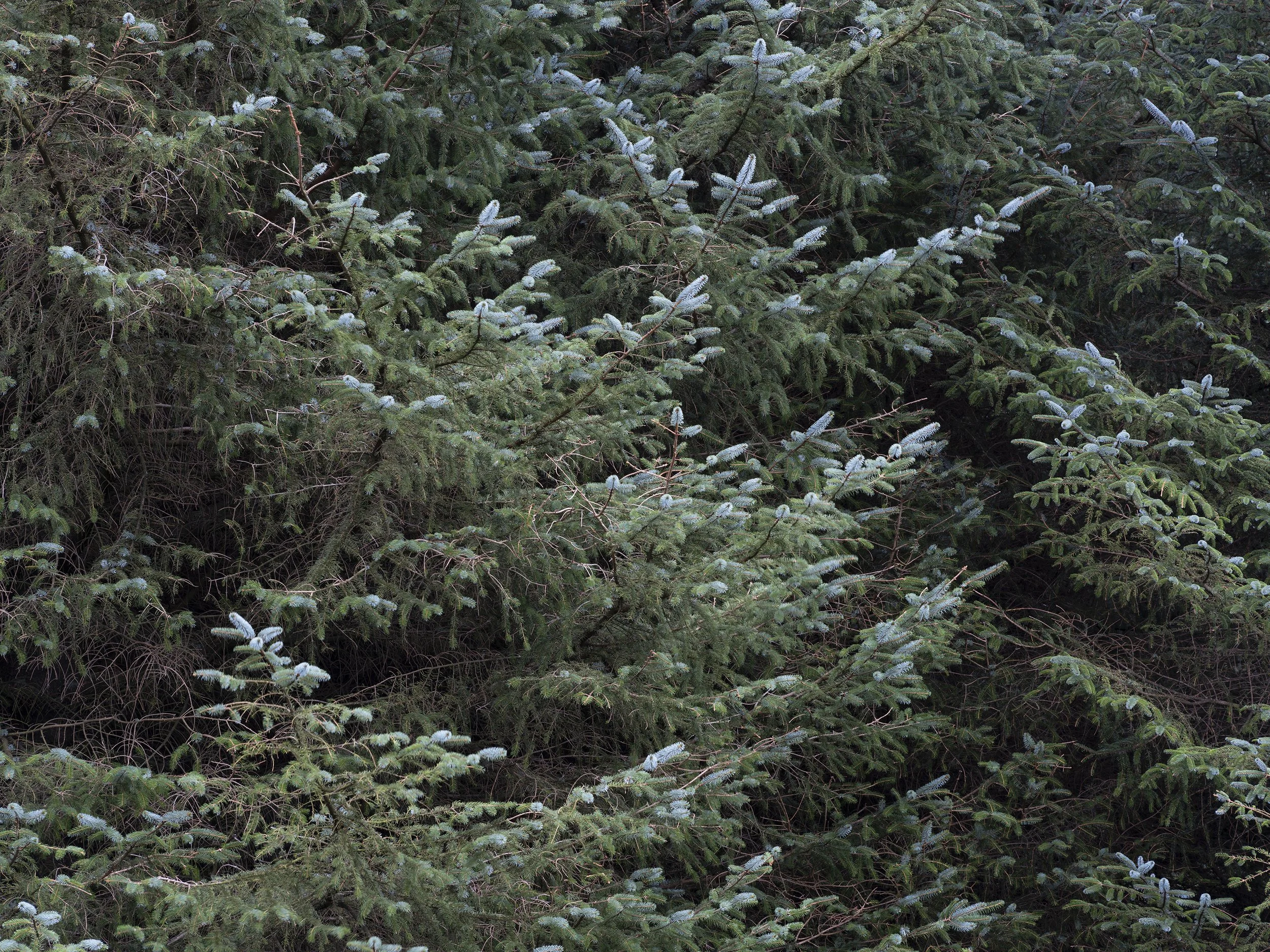  Earth, a Cosmic Spectacle/  Every place on Earth  