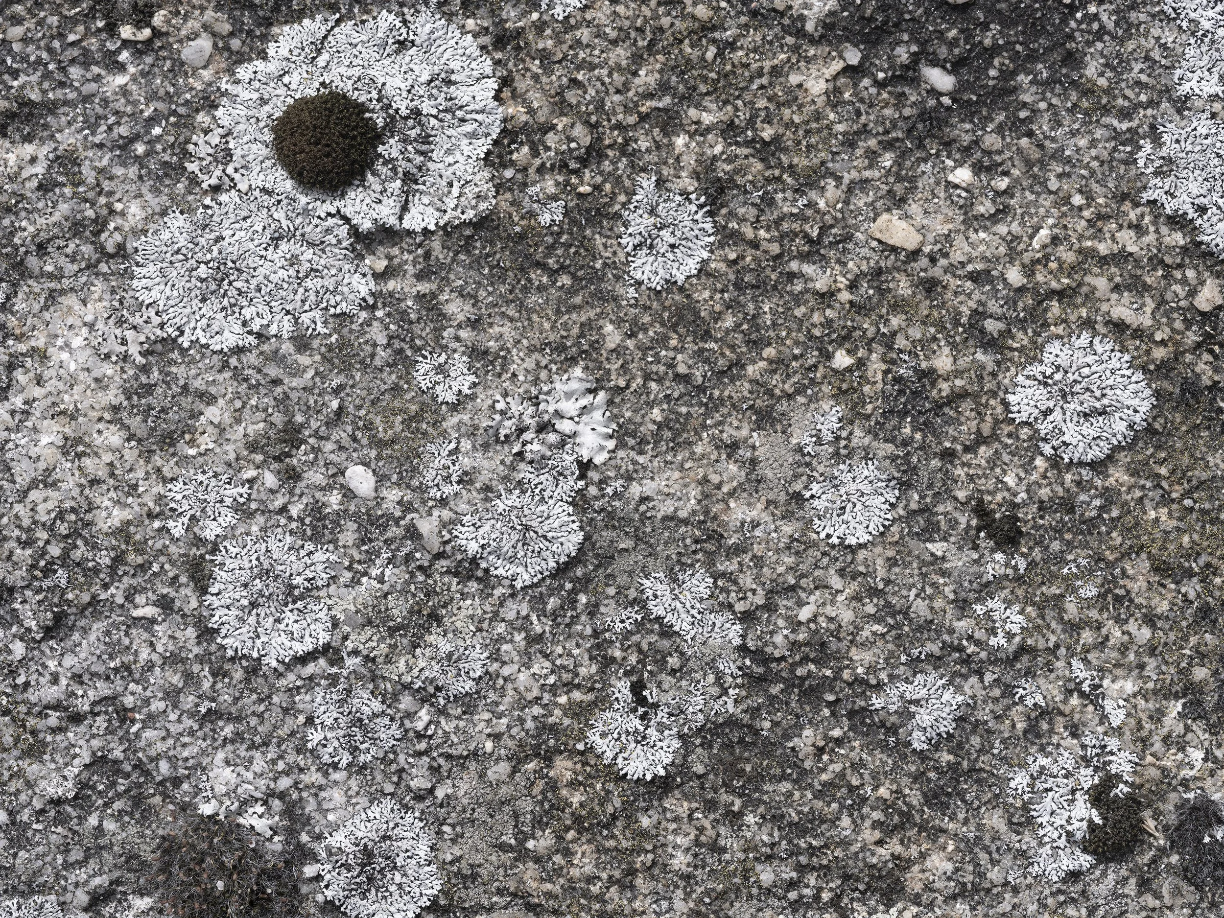  Earth, a Cosmic Spectacle/  Mirror  