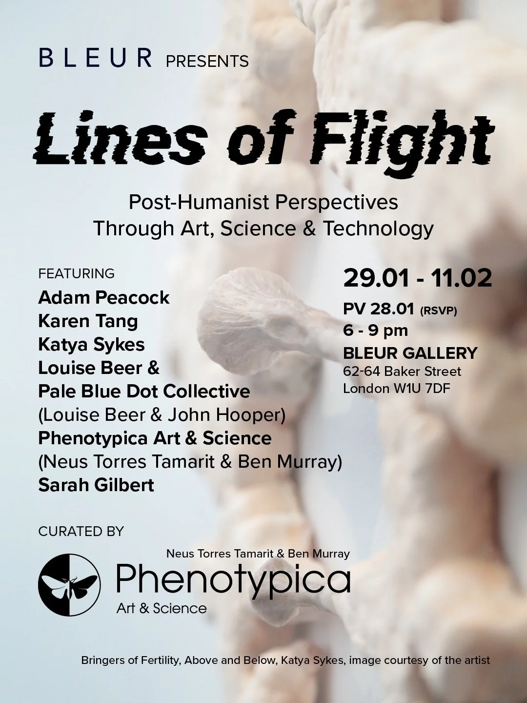Exhibition/ Lines of Flight