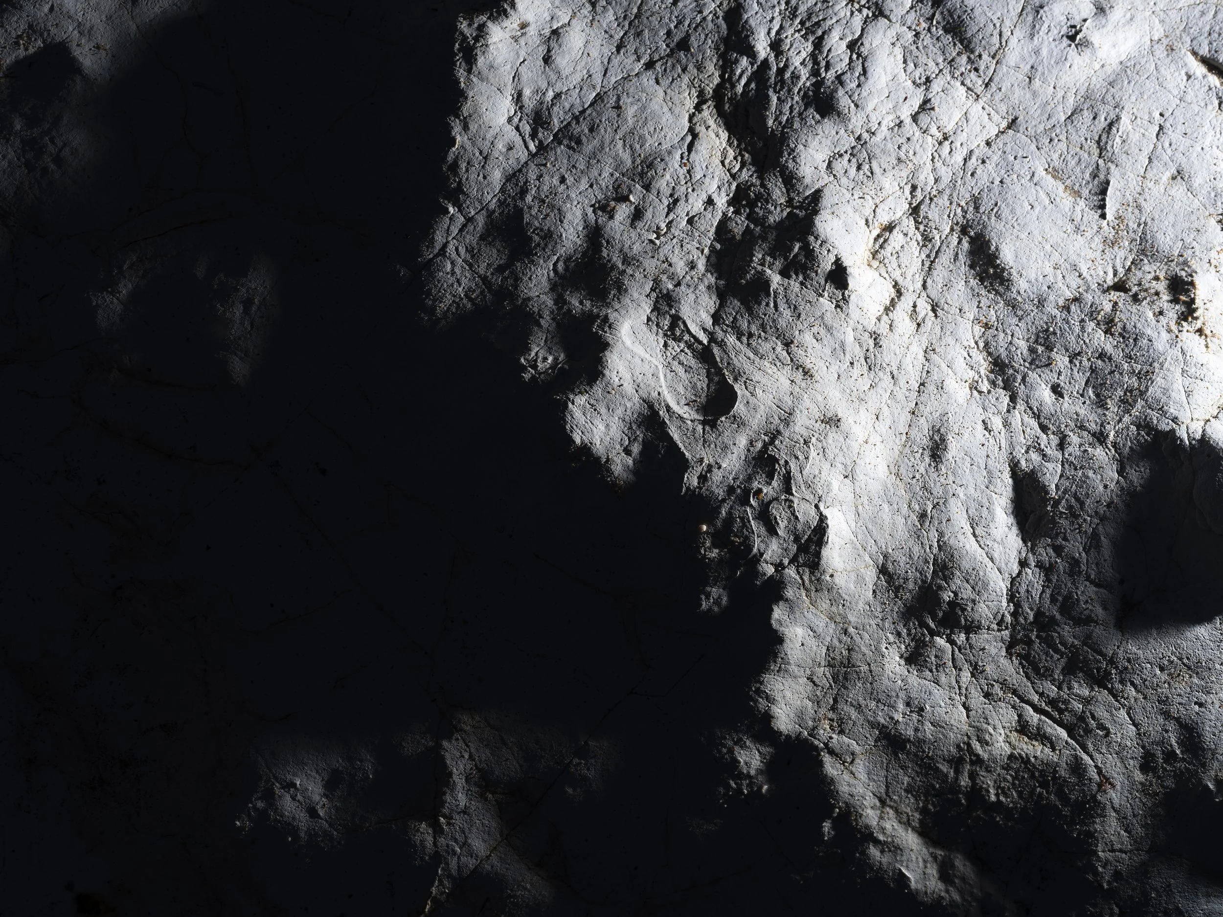 Talk/ Earth, a Cosmic Spectacle at the Intellectual Forum, Jesus College, University of Cambridge