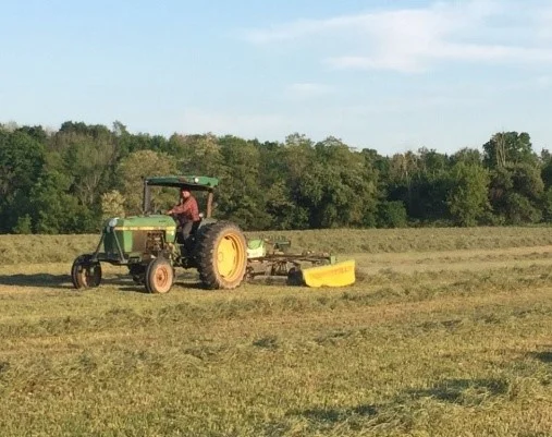 Raking Hay