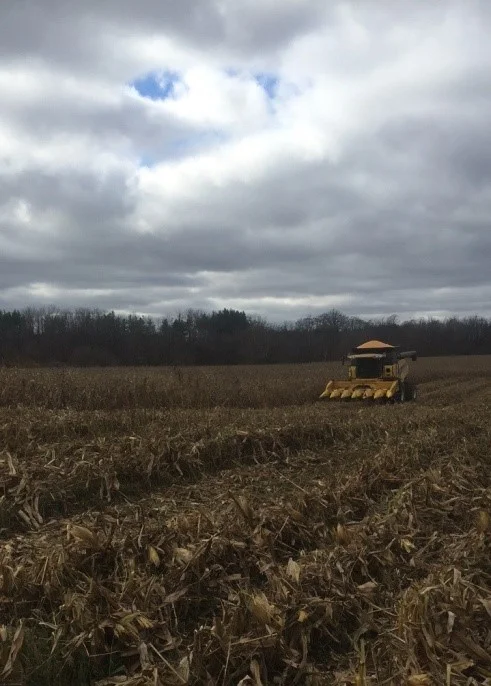 Corn Combining 2016.jpg