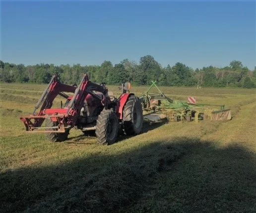 More Hay Raking.jpg