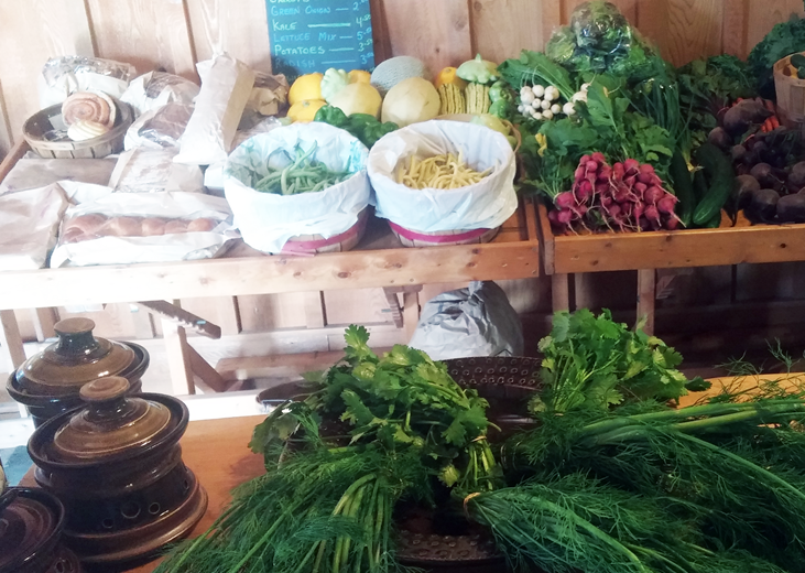 M arket garden @ Sunnivue Sunnivue Farm is offering CSA shares for the 2018 season, beginning in May and extending until late November. Everything is ready to get going for you. Learn More →