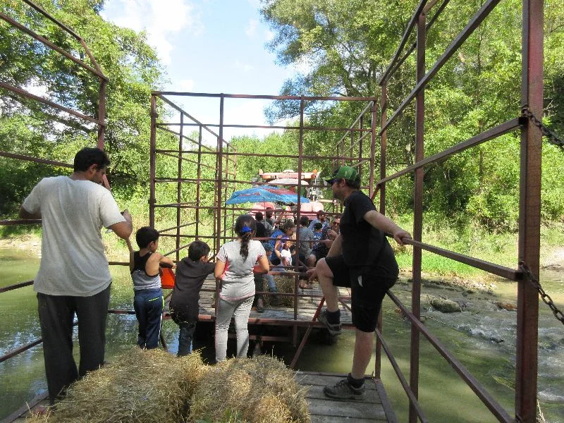 2018 Harvest Celebration in Pictures
