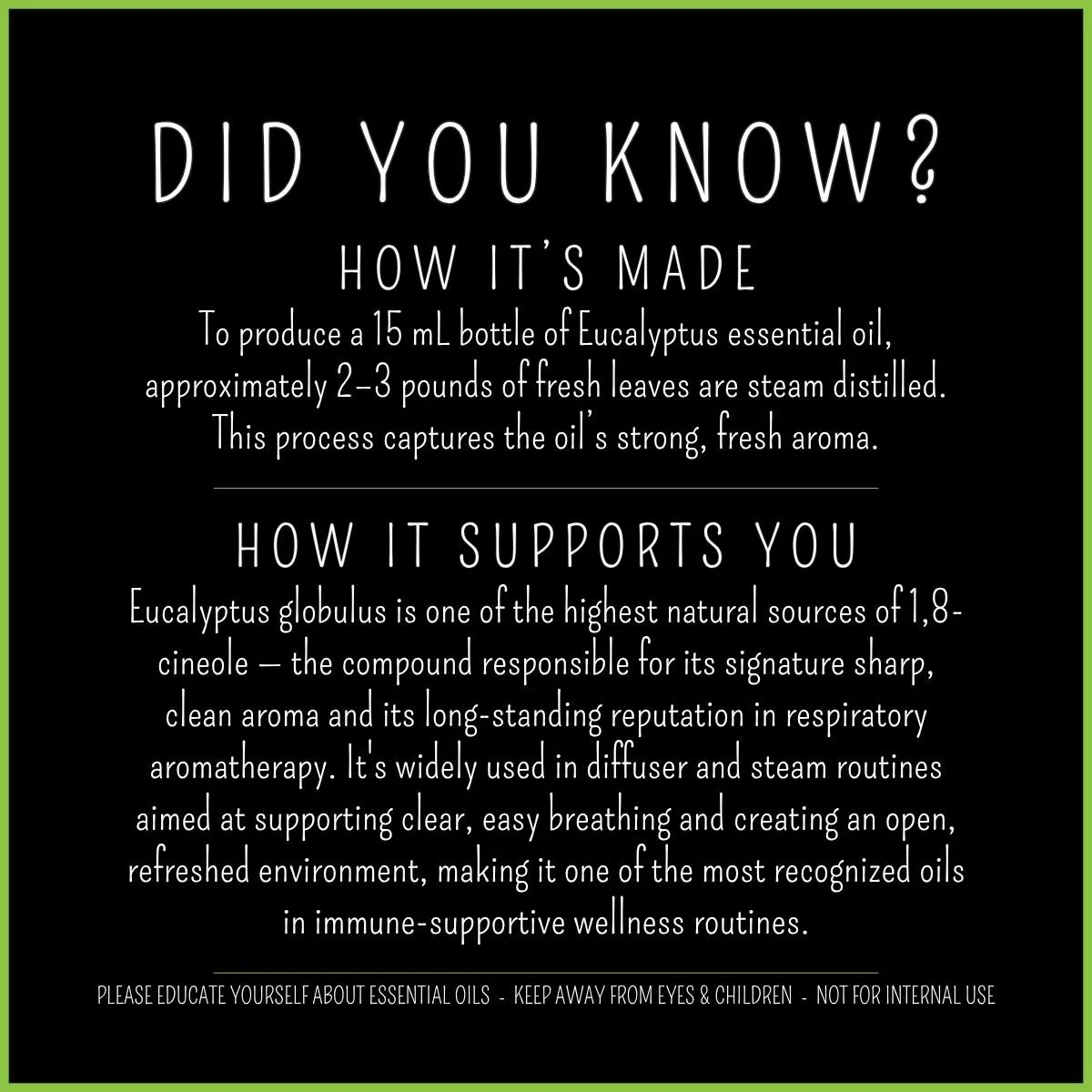 How Eucalyptus Globulus Aus. essential oil is made