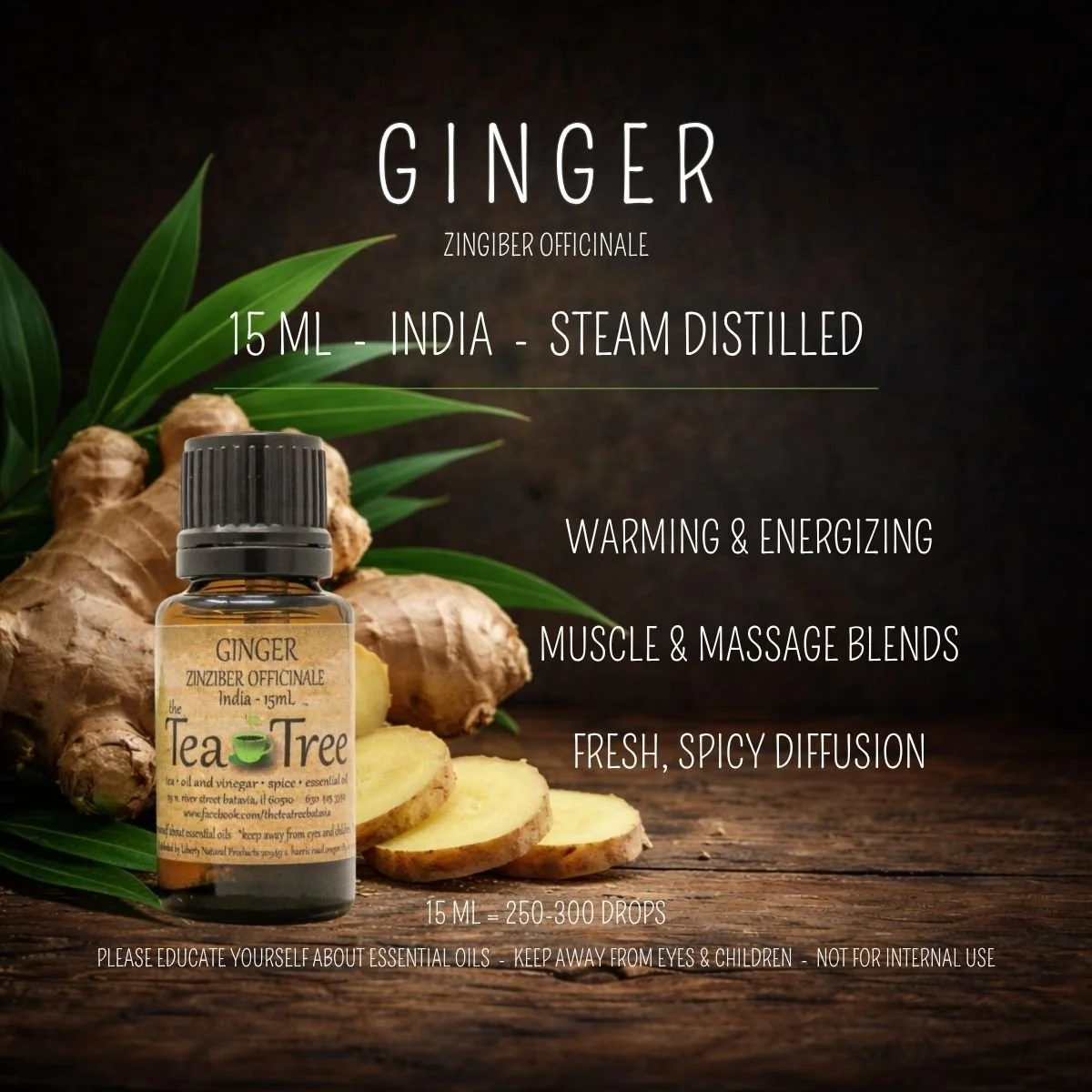 Ginger - India 15 mL