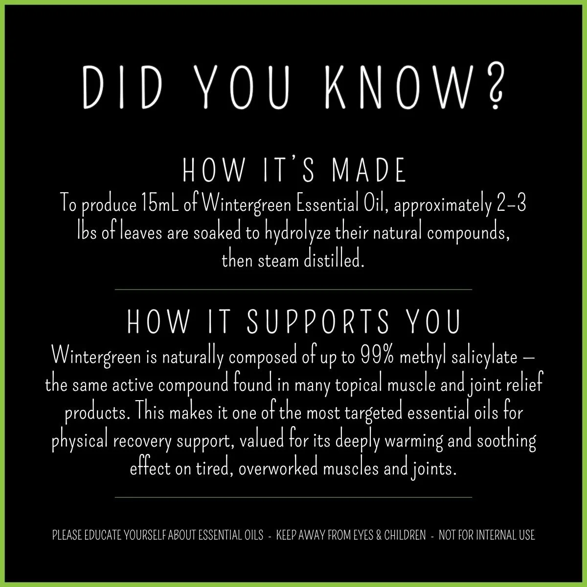 wintergreen-essential-oil-how-its-made-steam-distilled.jpg