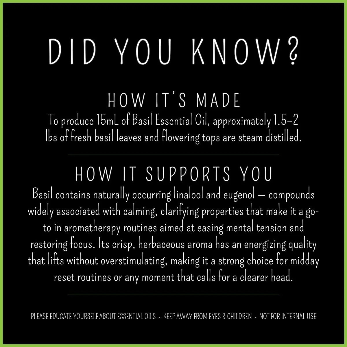 How Basil essential oil is made