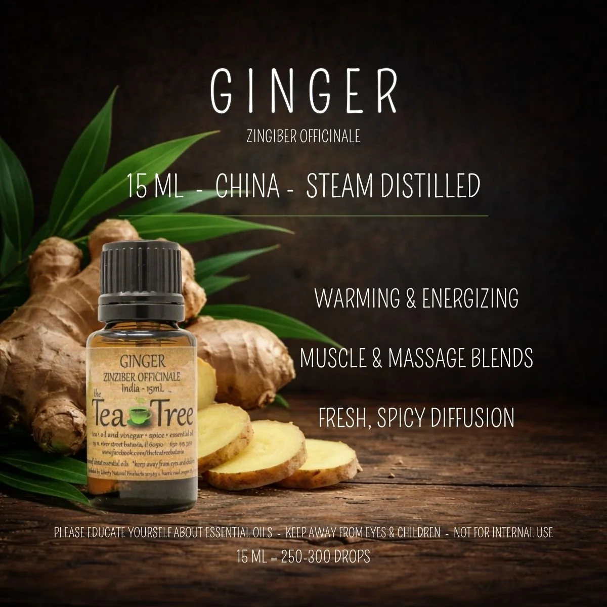 Ginger - India 15 mL