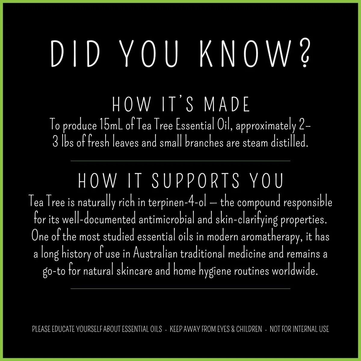 How Tea Tree essential oil is made